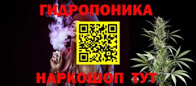индика Гай