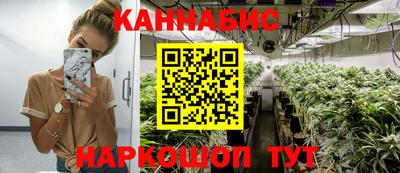 индика Гай