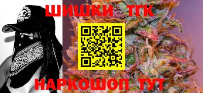 индика Гай