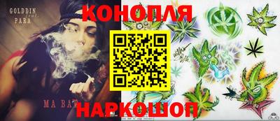 индика Гай