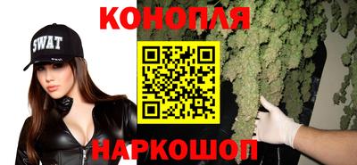 индика Гай