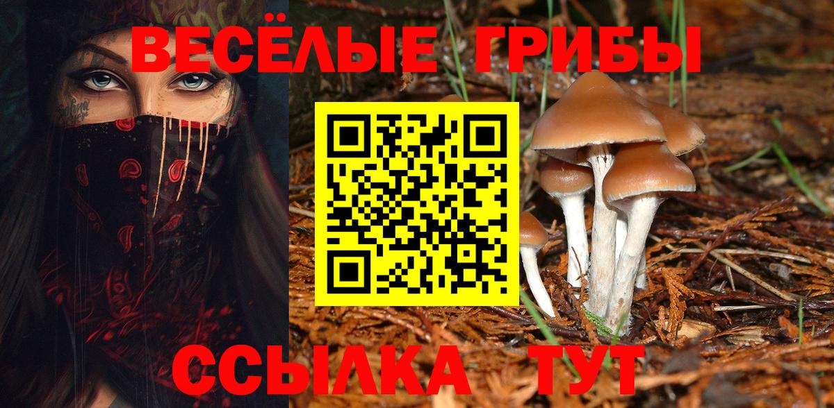 Галлюциногенные грибы Cubensis Бутурлиновка