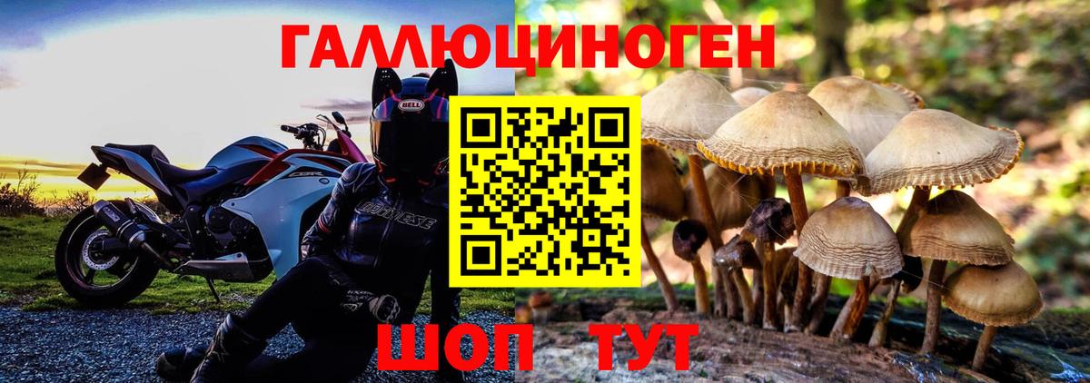 Псилоцибиновые грибы Psilocybe  Вход с VPN  Бутурлиновка  Галлюциногенные грибы Magic Shrooms 